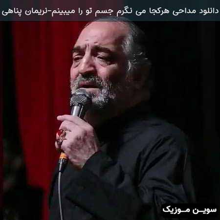 دانلود اهنگ هرکجا می نگرم جسم تو را میبینم نریمان پناهی